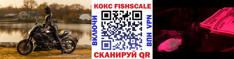 Cocaine Fish Scale  купить наркоту  Краснокаменск 