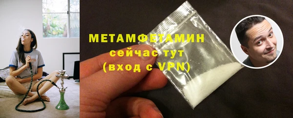 индика Бородино