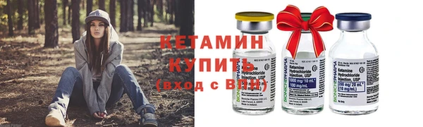 индика Бородино
