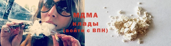 шишки Богородицк