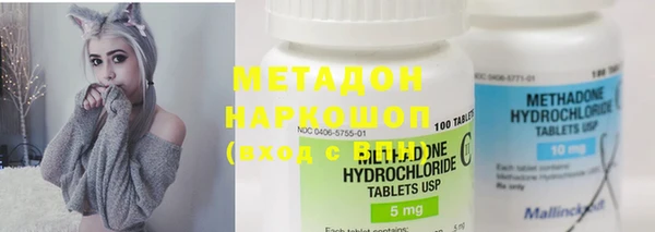индика Бородино