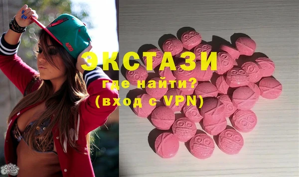 индика Бородино