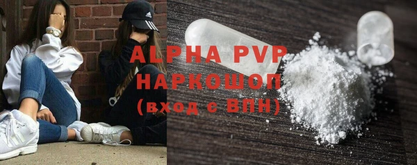 эйфоретик Богданович