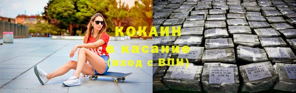шишки Богородицк