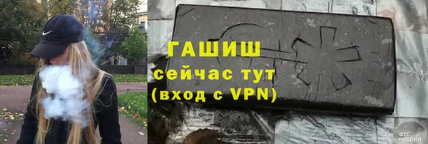 индика Бородино