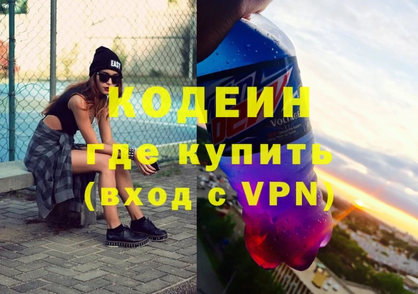шишки Тайга